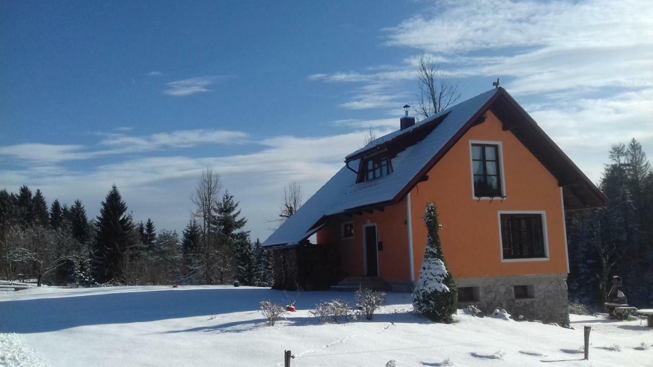 Vila Snjeguljica Villa Goraci Exterior photo